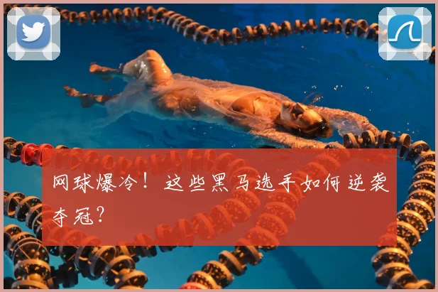 网球爆冷！这些黑马选手如何逆袭夺冠？