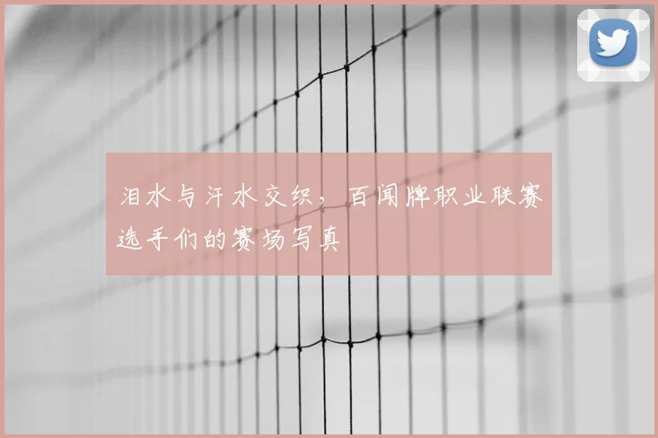 泪水与汗水交织，百闻牌职业联赛选手们的赛场写真