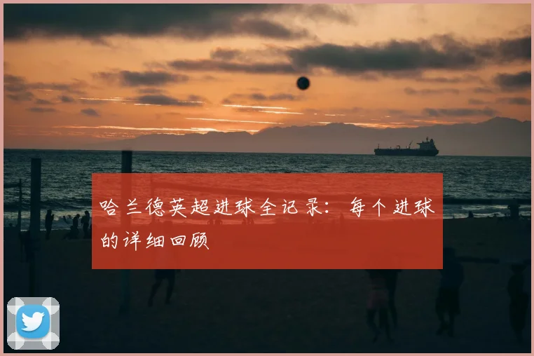 哈兰德英超进球全记录：每个进球的详细回顾
