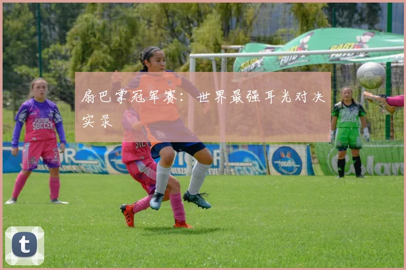扇巴掌冠军赛：世界最强耳光对决实录