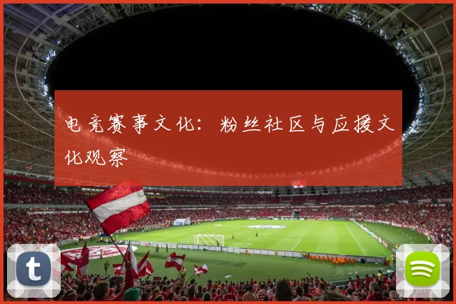 电竞赛事文化：粉丝社区与应援文化观察