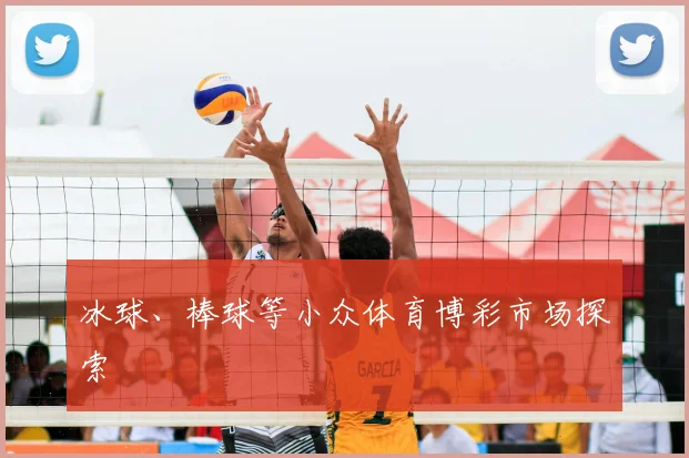 冰球、棒球等小众体育博彩市场探索