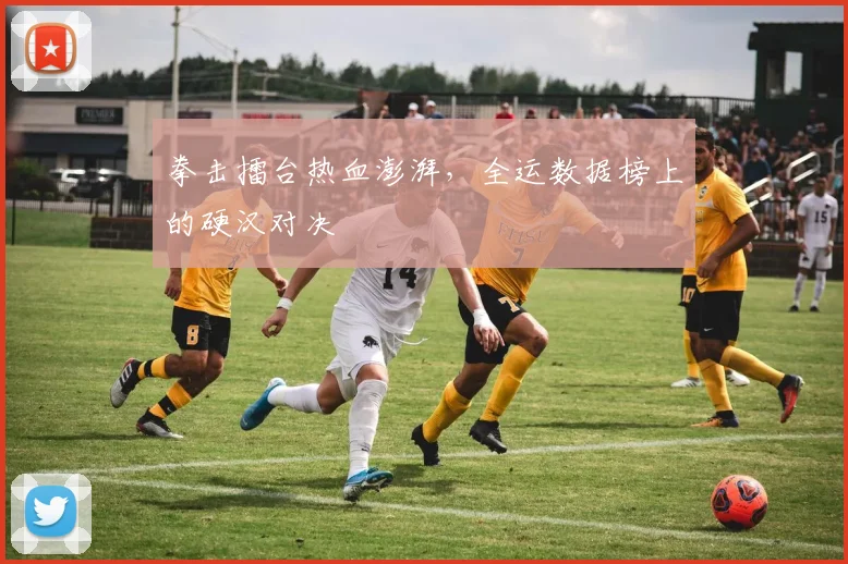 拳击擂台热血澎湃，全运数据榜上的硬汉对决
