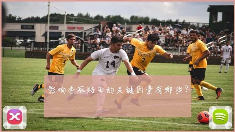 影响夺冠赔率的关键因素有哪些？