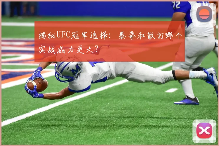 揭秘UFC冠军选择：泰拳和散打哪个实战威力更大？