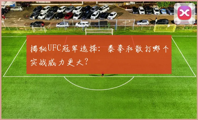 揭秘UFC冠军选择:泰拳和散打哪个实战威力更大?